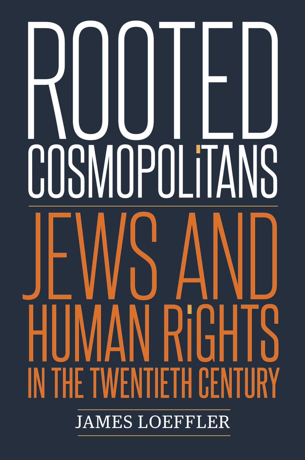  The Jewish role in establishing universal human rights
	