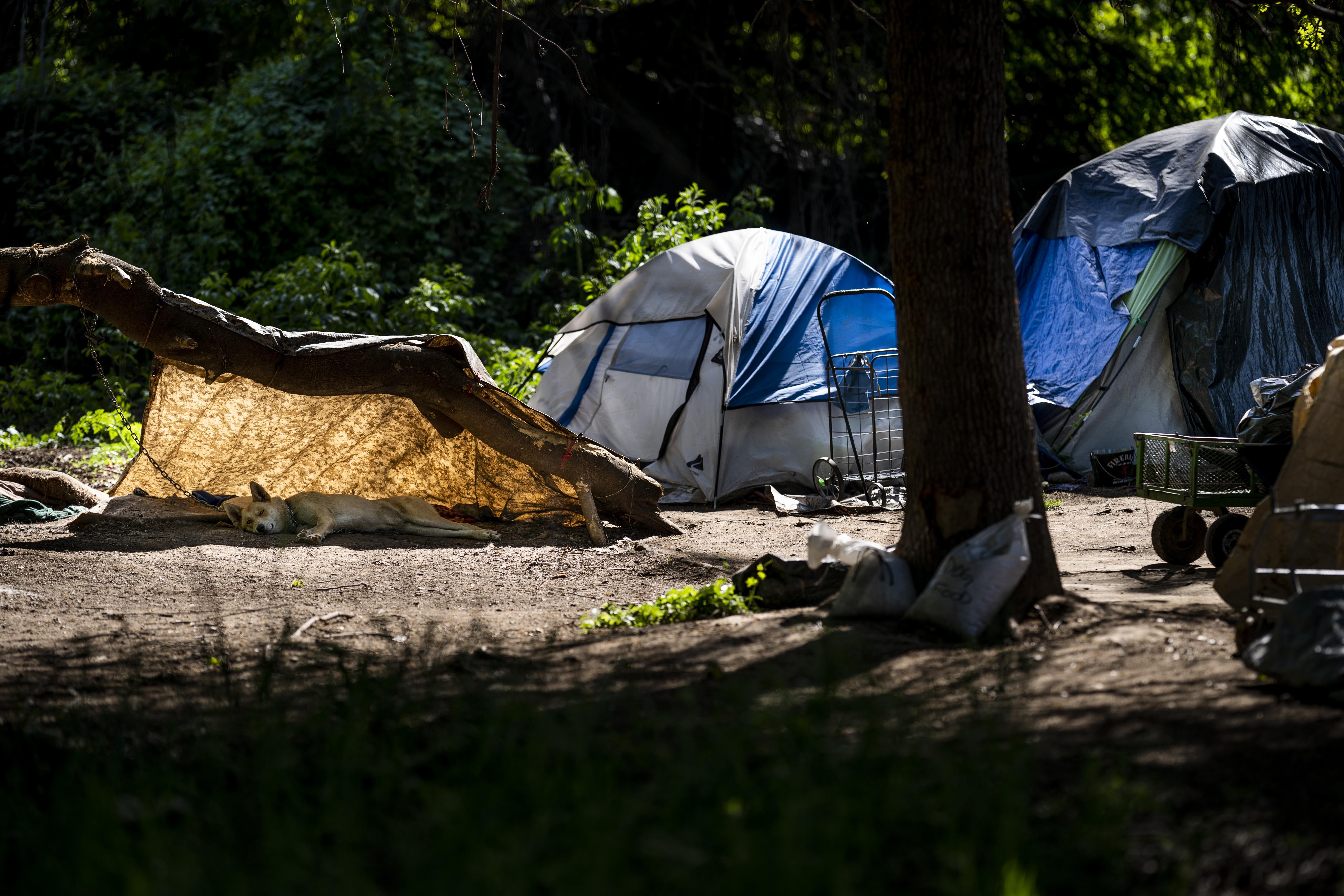 Sacramento's new ferment over homelessness may be a foreshadowing for California - Vimarsana News
