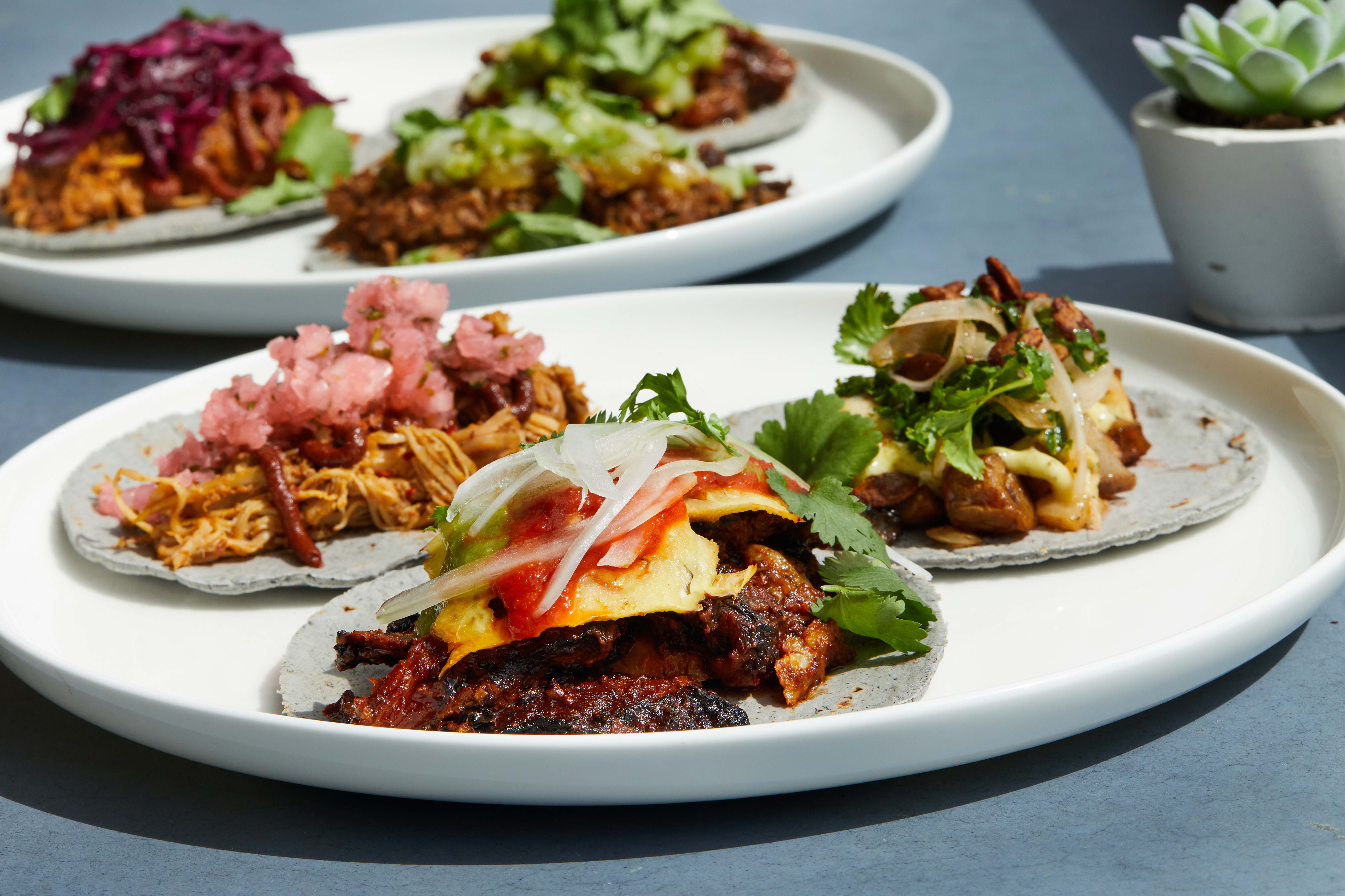 Can tacos help solve global challenges? The new International Taco Council aims to find out. - Vimarsana News