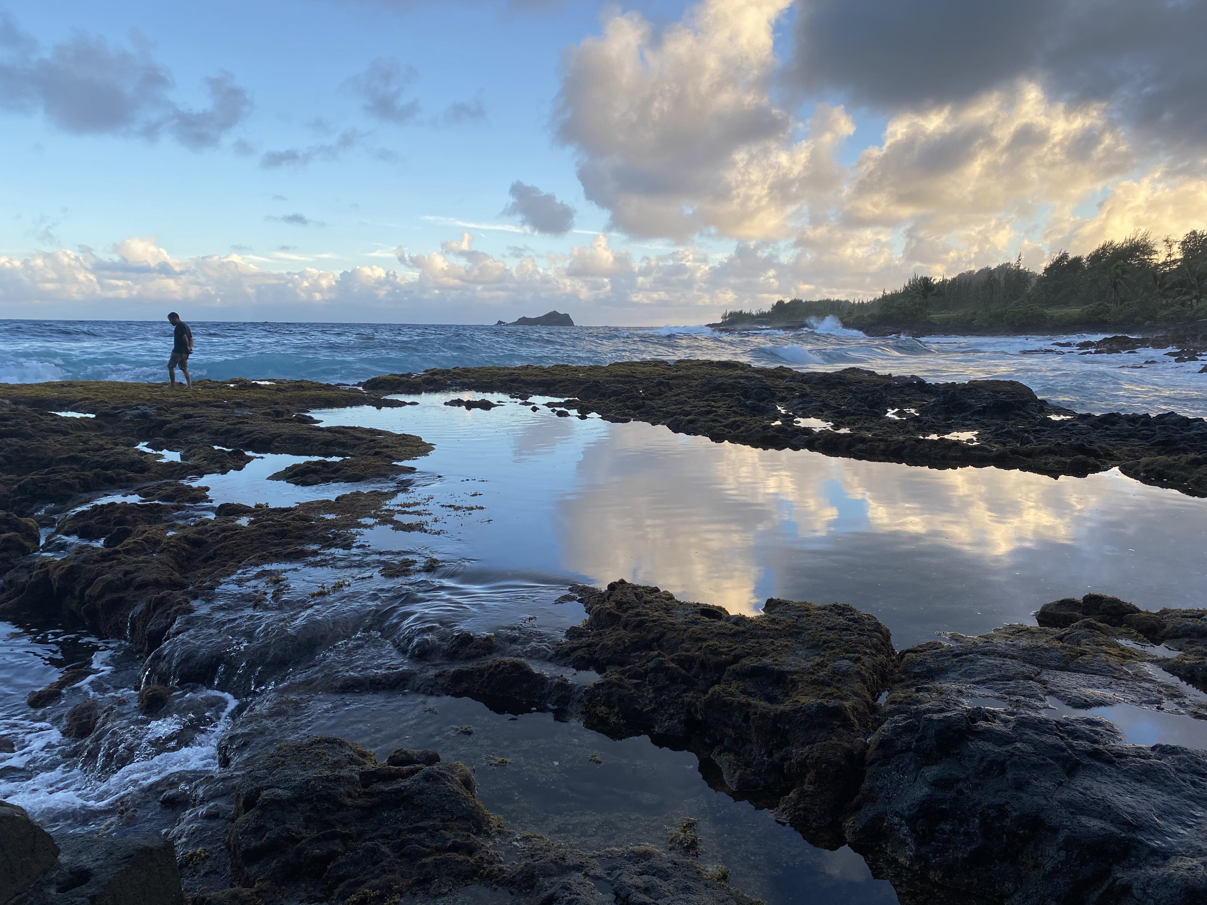 A Maui vacation in three acts - Vimarsana News